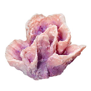 [XC@ZEST@vJTS@M|11@p[vsN