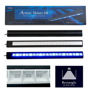 ZOOX サプリメントLED アクティニックシャイナー 60 レクタングル 420−450nm