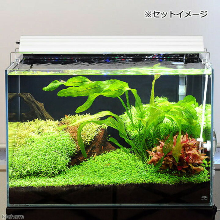 楽天市場】アクロ TRIANGLE LED GROW 600 