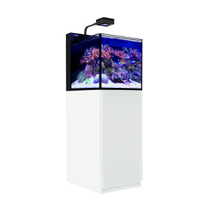 レッドシー MAX NANO ペニンシュラセット 白(旧LEDセット) 50Hz 東日本用 45cm水槽