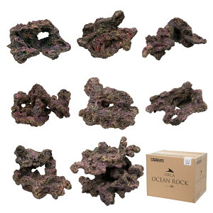 ORCA@OCEAN@ROCK@ALFA@CubNvJ@`90cm