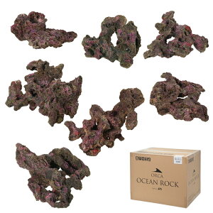 ORCA@OCEAN@ROCK@BRAVO@CubNvJ@`90cm