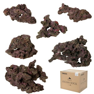 ORCA@OCEAN@ROCK@CHARIE@CubNvJ@`90cm