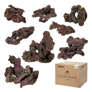 ORCA@OCEAN@ROCK@DELTA@CubNvJ@`90cm