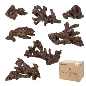 ORCA@OCEAN@ROCK@ECHO@CubNvJ@`90cm