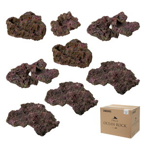 ORCA@OCEAN@ROCK@FOXTROT@CubNvJ@`90cm