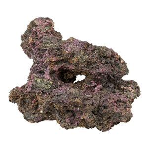 ORCA@OCEAN@ROCK@11@16×21×10cm@CubNvJ