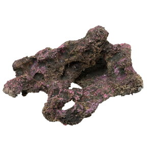 ORCA@OCEAN@ROCK@13@22×12×17cm@CubNvJ