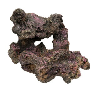 ORCA@OCEAN@ROCK@15@23×23×17cm@CubNvJ