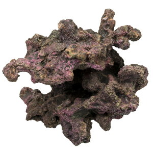 ORCA@OCEAN@ROCK@22@30×24×27cm@CubNvJ