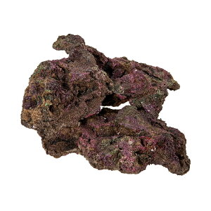 ORCA@OCEAN@ROCK@5@18×14×19cm@CubNvJ