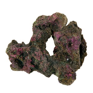 ORCA@OCEAN@ROCK@10@20×16×16cm@CubNvJ