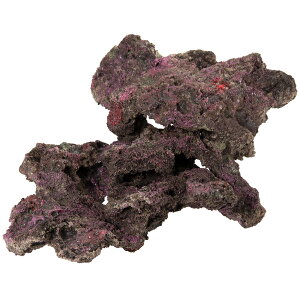 ORCA@OCEAN@ROCK@24@35×27×16cm@CubNvJ