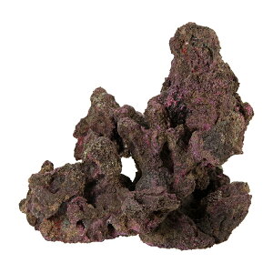 ORCA@OCEAN@ROCK@27@28×23×27cm@CubNvJ