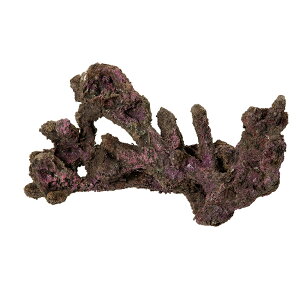 ORCA@OCEAN@ROCK@20@23×26×25cm@CubNvJ