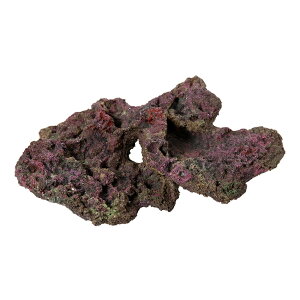 ORCA@OCEAN@ROCK@31@30×20×12cm@CubNvJ