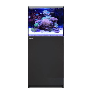 i^jbhV[@REEFER@170@G2{@ubN@{BlEsEs@500TCY@3