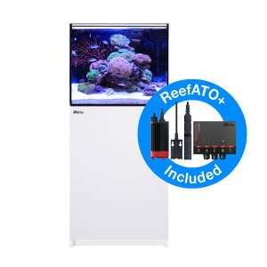 i^jbhV[@REEFER@170@G2{@zCg@{BlEsEs@500TCY@3