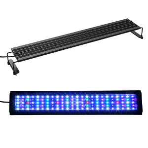 {NXWp@Grassy@Legna@Marine@60@^C}[t@@Cg@Ɩ@60cm