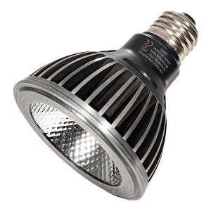 BARREL@CpCg@SUSANOO@10W@Vo[@TS@Ɩ