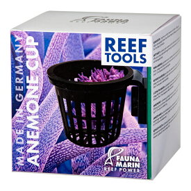 FaunaMarin　Anemone　Cup　イソギンチャク