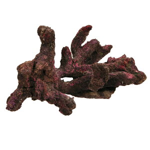 ORCA@OCEAN@ROCK@JB1@29×19×19cm@CubNvJ