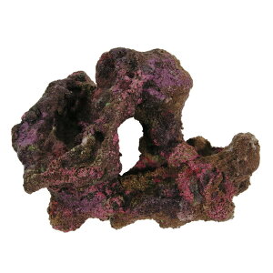 ORCA@OCEAN@ROCK@JB3@22×16×12cm@CubNvJ