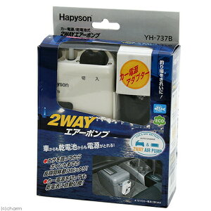 2WAYGA[|v@YH|737B@s@@̏W@ނ