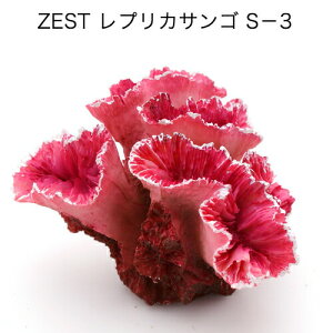 [XC@ZEST@vJTS@S|3