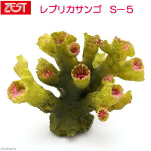 [XC@ZEST@vJTS@S|5