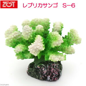 [XC@ZEST@vJTS@S|6
