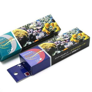 ANAEpڒ܁@ANAXP[v@}X^C^ΊDJ[