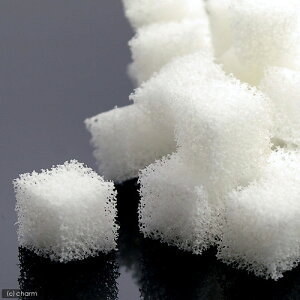 yʍiށ@Gel@CubeiQL[uj@oNeAp@[W@0D5bgiWECpjTCY