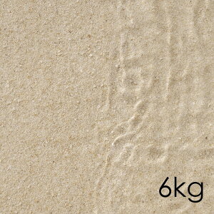 [J[@60n@Cu@R[Th@1i6kgj@s@