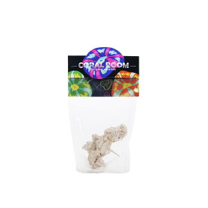 }RbNx[X@vO@`󂨔C@3@Cp@p΁@fXbN@΃TS