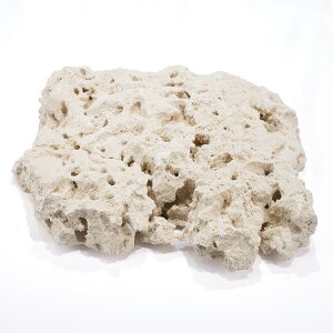 }RbN@t@Ef[V@LLTCY@1@Cp@p΁@fXbN@΃TS