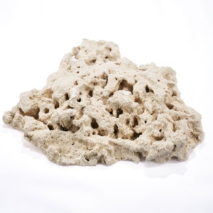 }RbN@t@Ef[V@LTCY@1@Cp@p΁@fXbN@΃TS