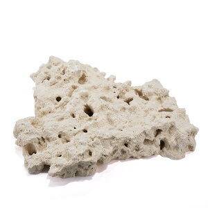 }RbN@t@Ef[V@@MTCY@1@Cp@p΁@fXbN@΃TS