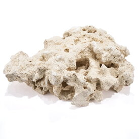 マルコロック　ファウンデーション　Sサイズ　1個　海水水槽用　水槽用石　デスロック　化石サンゴ