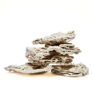 }RbN@VFt@LTCY@10kgZbg@Cp@p΁@fXbN@΃TS