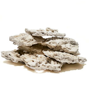 }RbN@VFt@MTCY@10kgZbg@Cp@p΁@fXbN@΃TS