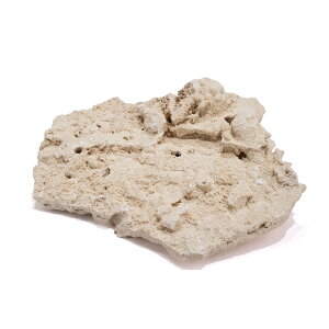 }RbN@VFt@MTCY@1@Cp@p΁@fXbN@΃TS