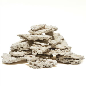 }RbN@VFt@STCY@10kgZbg@Cp@p΁@fXbN@΃TS