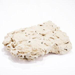 }RbN@VFt@LLTCY@1@Cp@p΁@fXbN@΃TS