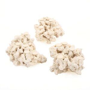 }RbN@[tZ[o[@tOx[X@STCY@1@Cp@p΁@fXbN@΃TS