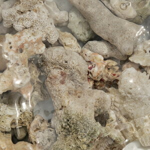 [J[@60n@Cu@R[{[@XXLTCYi6kgj@s@