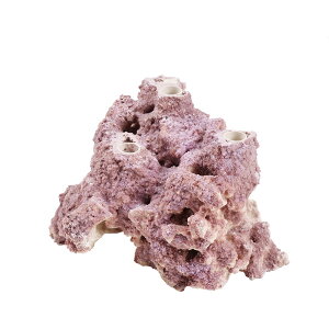 }RbN@Z~bNvOx[X@3vOz[i1j@Cp@p΁@fXbN@΃TS