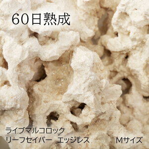 iCj60n@Cu}RbN@[tZ[o[@GbWXiEdgelessj@MTCYi1j@kCEBq֗vۉ