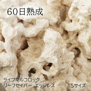 iCj60n@Cu}RbN@[tZ[o[@GbWXiEdgelessj@STCYi1j@kCEBq֗vۉ