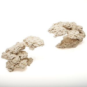 _@}RbN@JX^tOx[X@2Zbg@541739@R[bN@Cp@p΁@fXbN@΃TS